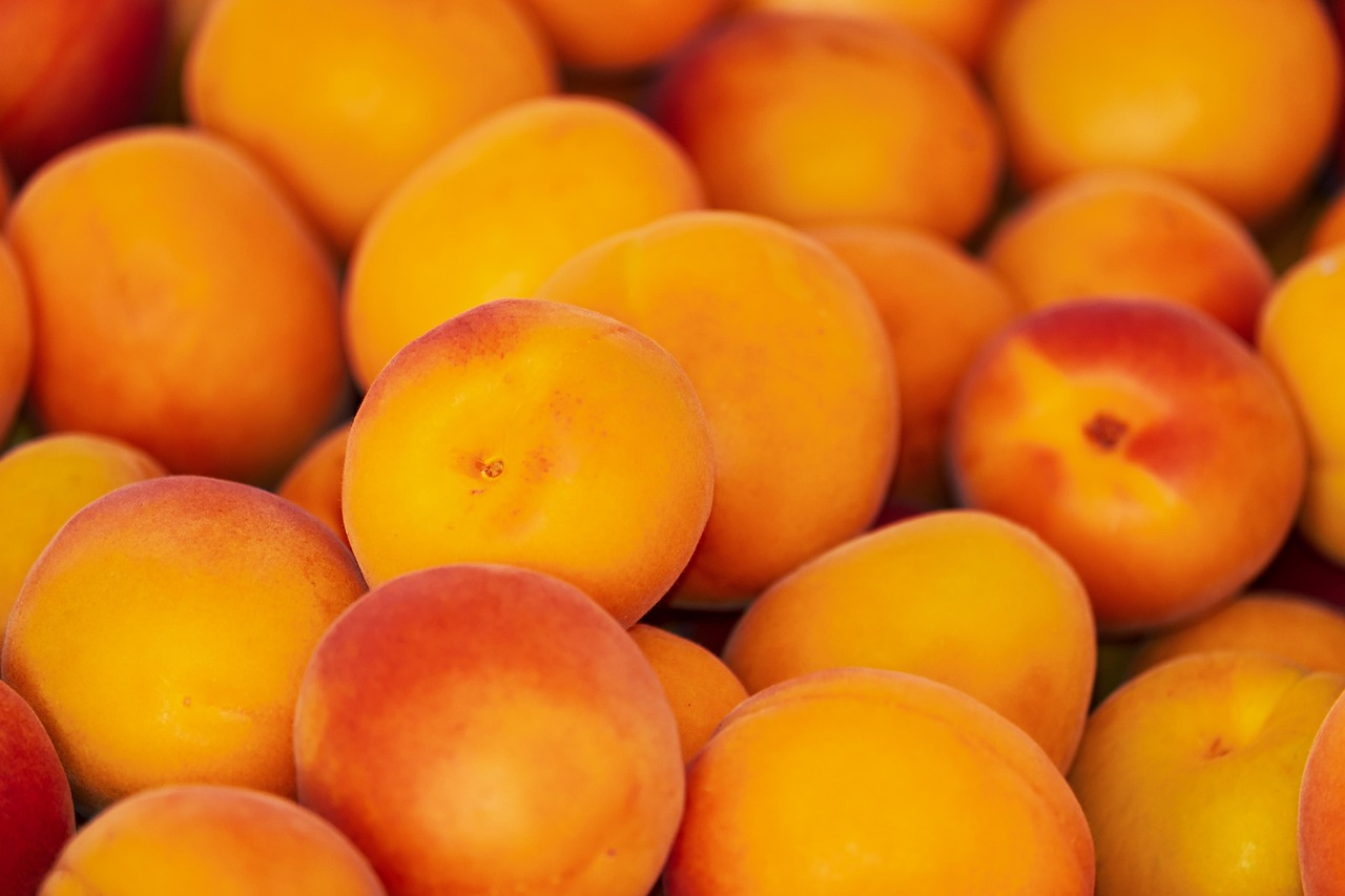 Frozen Apricot