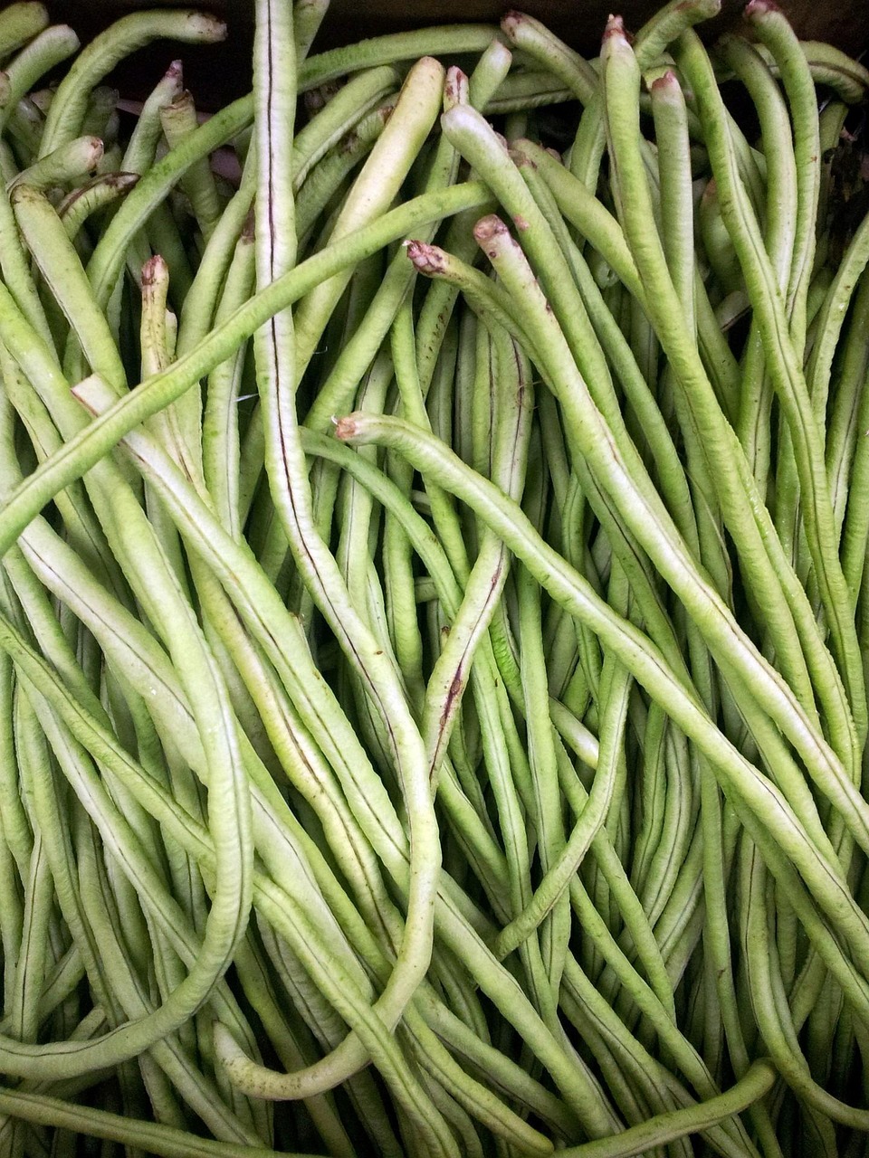 Frozen Beans