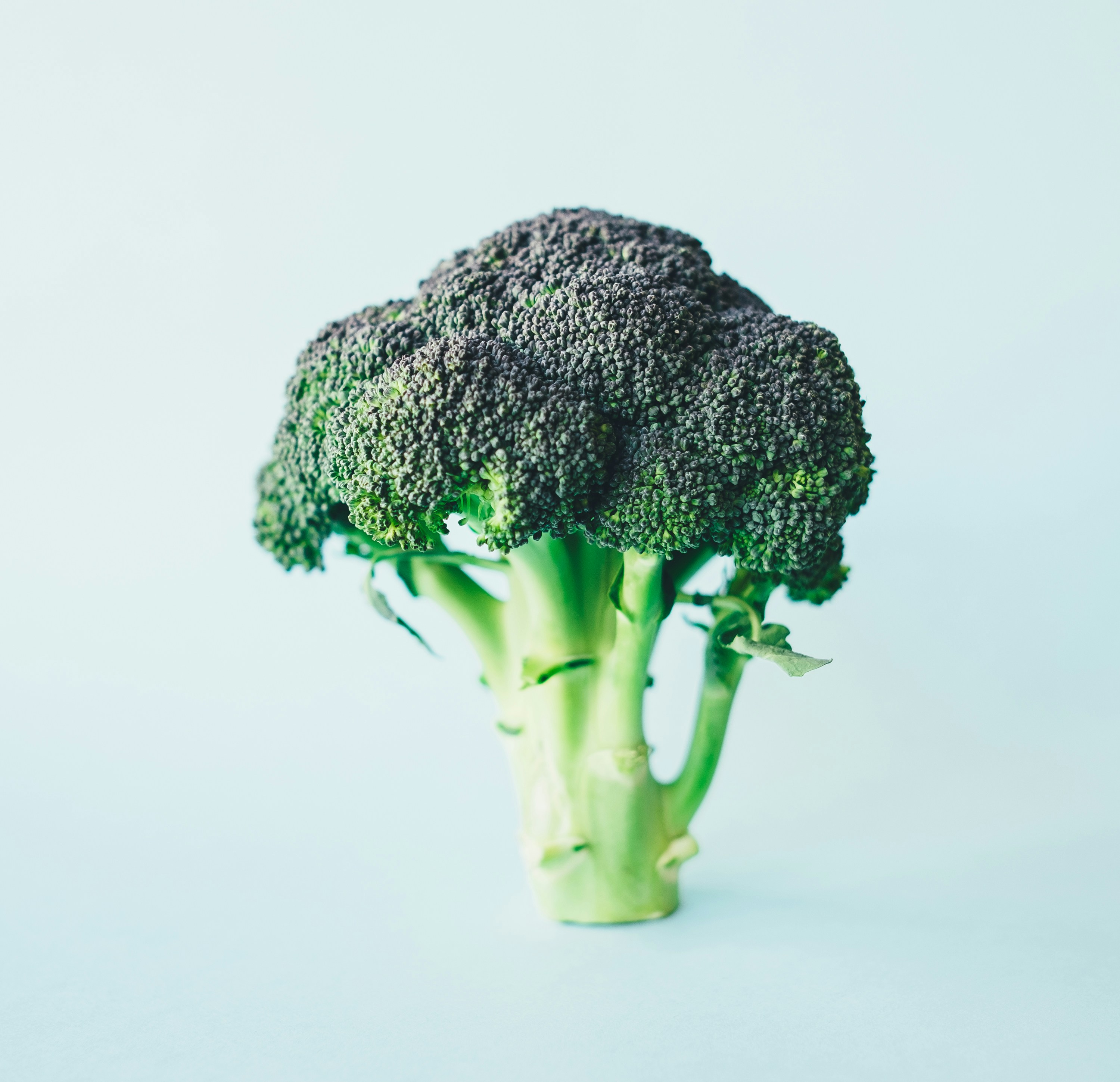 Frozen Broccoli
