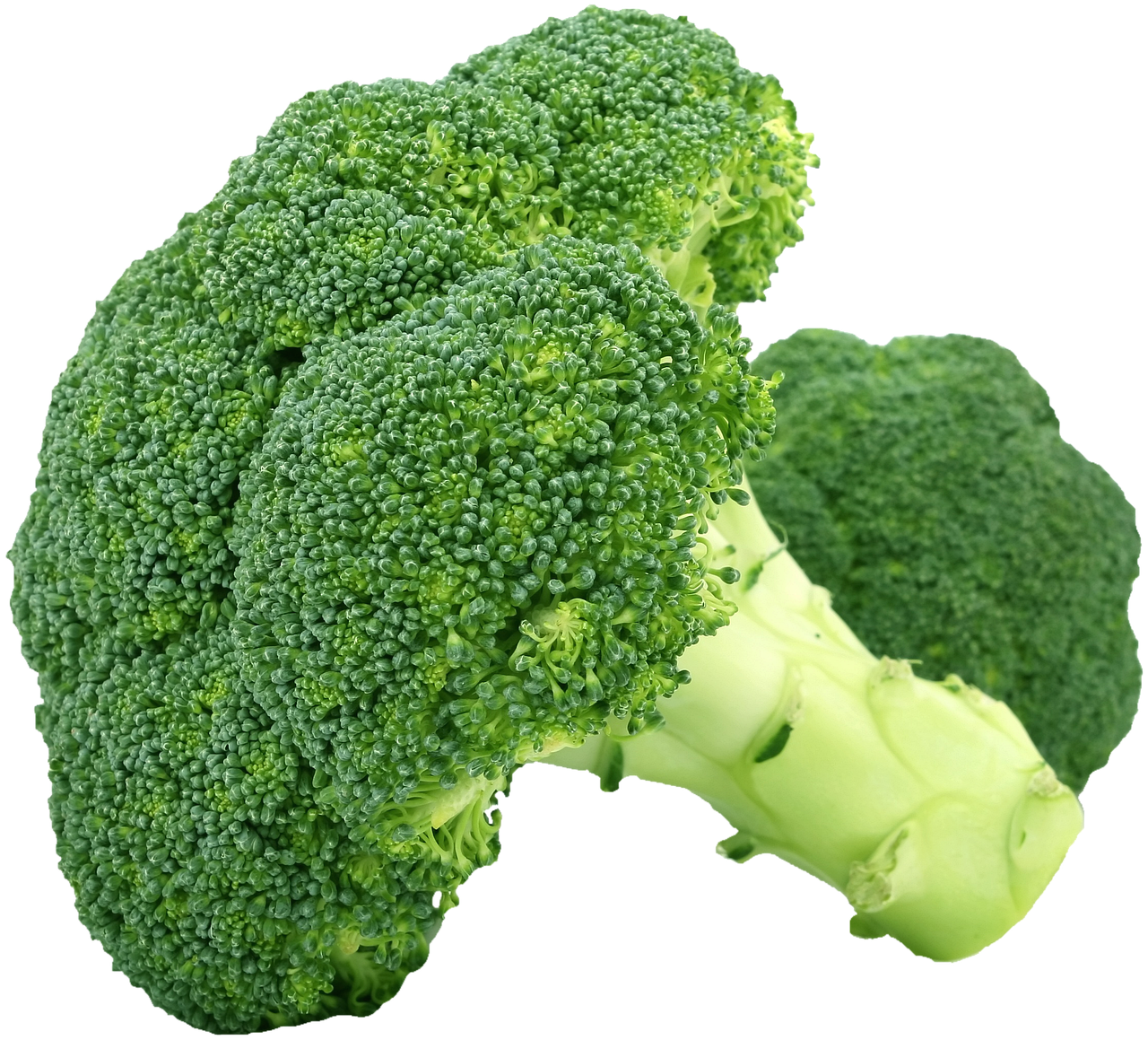 Frozen Broccoli