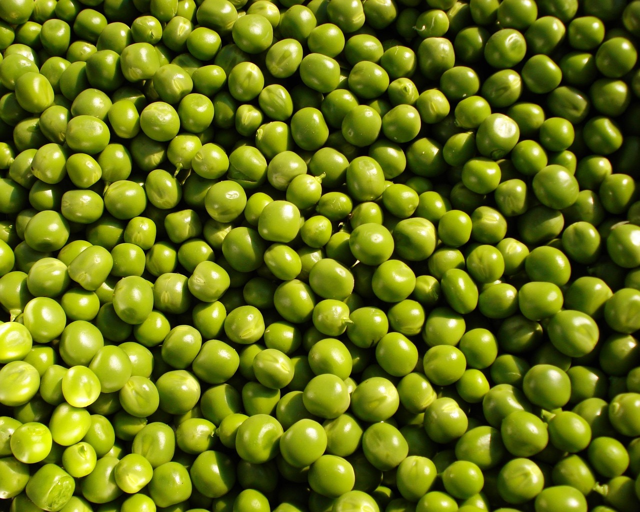 Frozen Peas